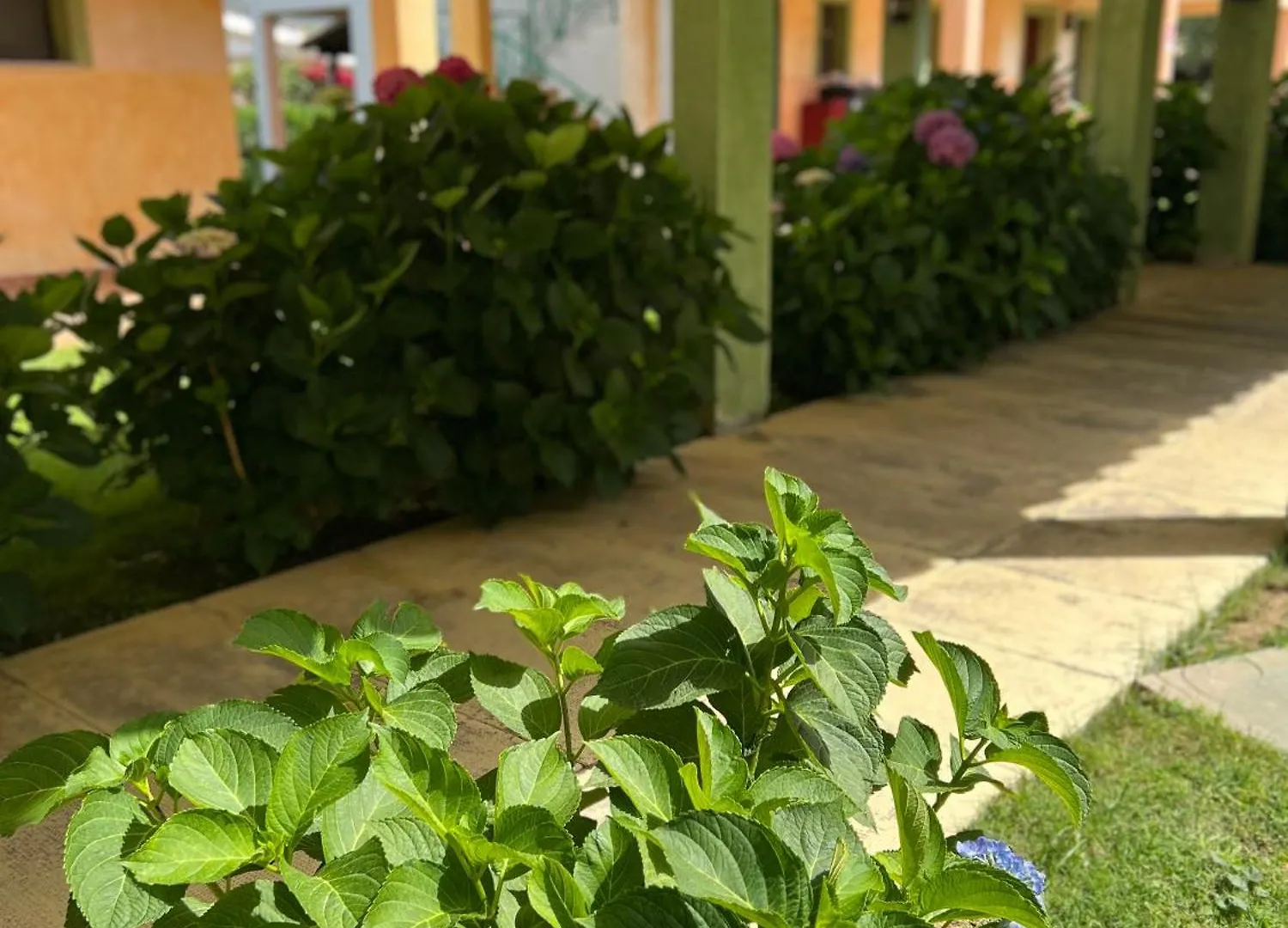 Ih Hotels Le Zagare Resort Villasimius